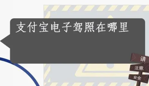 电子驾照